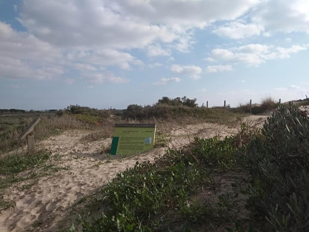 Tu Denscanso En Valdelagrana Frente Al Mar 엘푸에르토데산타마리아 외부 사진