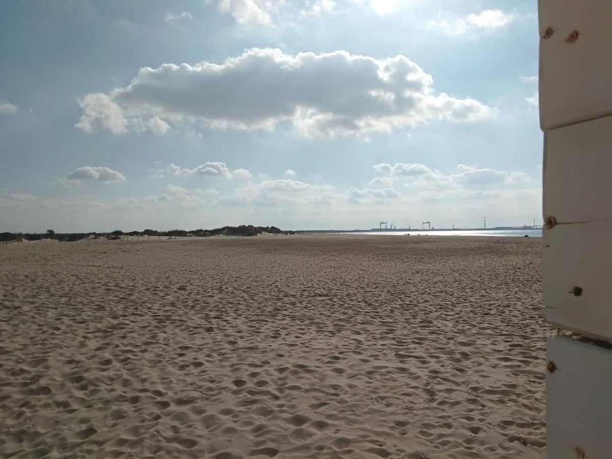 Tu Denscanso En Valdelagrana Frente Al Mar 엘푸에르토데산타마리아 외부 사진